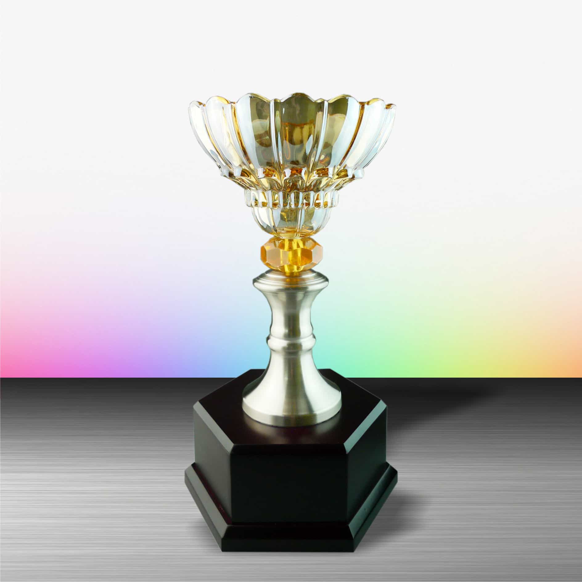 Crystal Trophy Silver Crystal Trophy EXWS6047 Silver Crystal Trophy EXWS6047