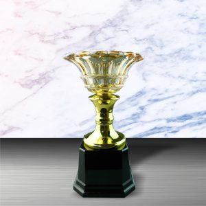 Golden Crystal Trophy EXWS6049