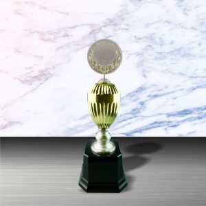 Silver Trophy EXWS6053