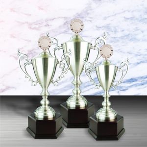 Silver Trophy EXWS6064