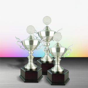 Silver Trophy EXWS6065