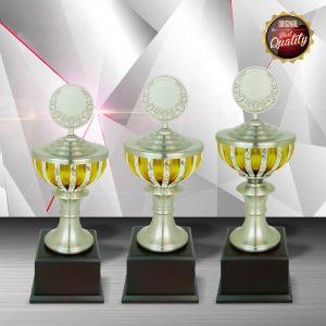 Silver Trophy EXWS6074