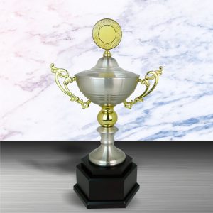 Silver Challenge Trophy EXWS6075