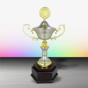 Silver Trophy EXWS6077