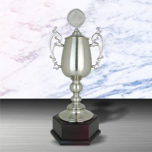 Silver Challenge Trophy EXWS6082