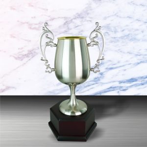 Silver Cup Trophy EXWS6083