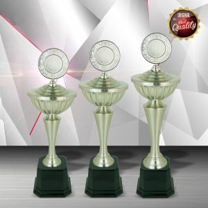 Silver Trophy EXWS6085
