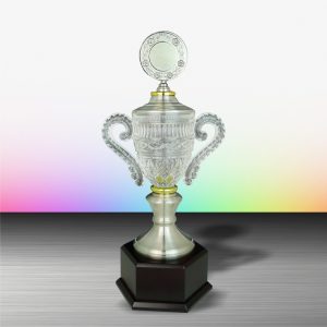 Silver Crystal Trophy EXWS6103