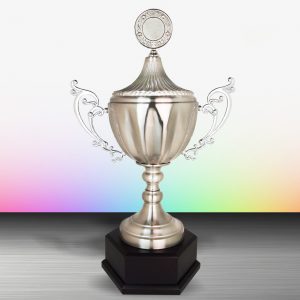 Silver Challenge Trophy EXWS6113