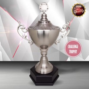 Silver Challenge Trophy EXWS6118