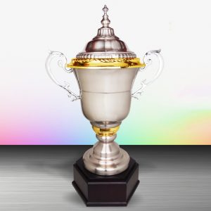 Silver Challenge Trophy EXWS6122
