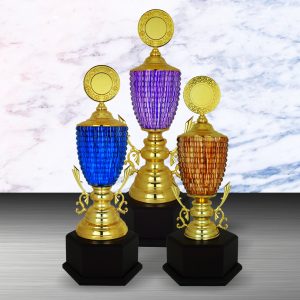 Golden Trophy EXWS6124