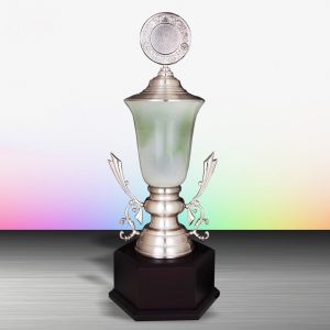 Silver Trophy EXWS6129