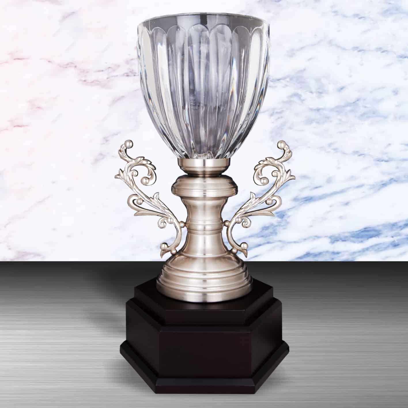 Crystal Trophy Silver Crystal Cup Trophy EXWS6130 Silver Crystal Cup Trophy EXWS6130