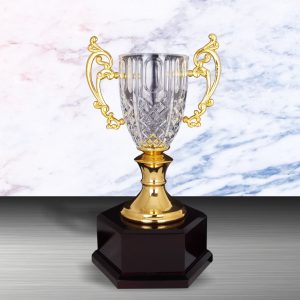 Golden Crystal Cup Trophy EXWS6133