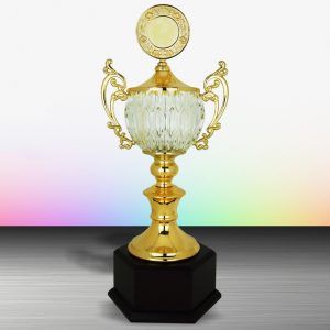 Golden Crystal Trophy EXWS6134