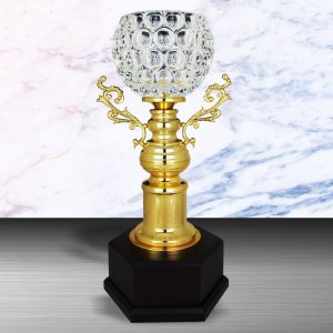 Golden Crystal Trophy EXWS6136