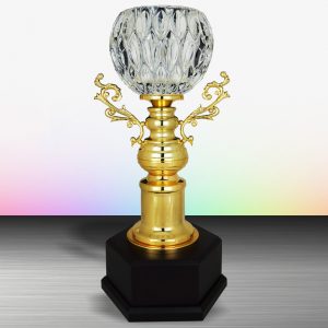 Golden Crystal Trophy EXWS6137