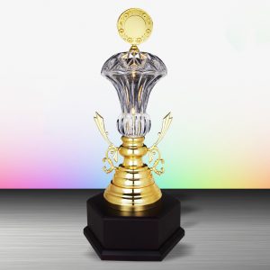 Golden Crystal Trophy EXWS6140