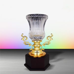 Golden Crystal Cup Trophy EXWS6146