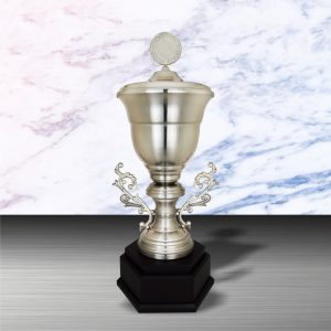 Silver Trophy EXWS6151