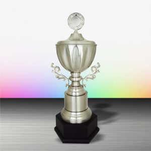 Silver Trophy EXWS6152