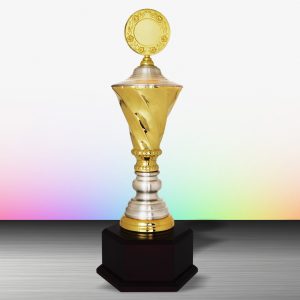 Golden Trophy EXWS6171