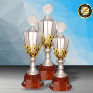 Silver Trophy EXWS6202