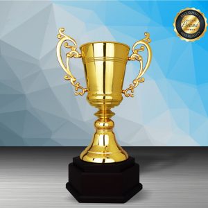 Golden Trophy EXWS6211