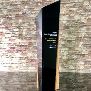 Acrylic Trophy SP5002