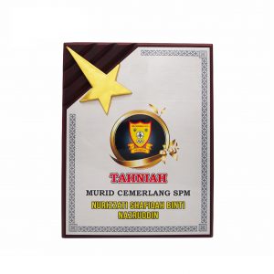 Plaques Wooden Plaque Gold Star WP7087 Wooden Plaque Gold Star WP7087