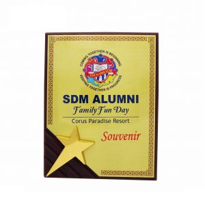 Plaques Wooden Plaque Gold Star WP7088 Wooden Plaque Gold Star WP7088