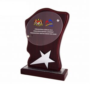 Plaques Star Wooden Plaque WP7122 Star Wooden Plaque WP7122