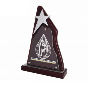 Plaques Star Wooden Plaque WP7123 Star Wooden Plaque WP7123