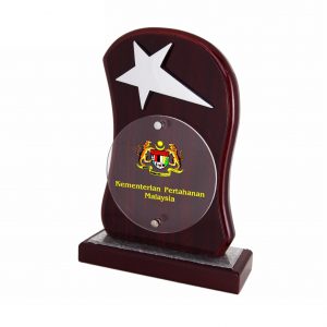Plaques Star Wooden Plaque WP7124 Star Wooden Plaque WP7124