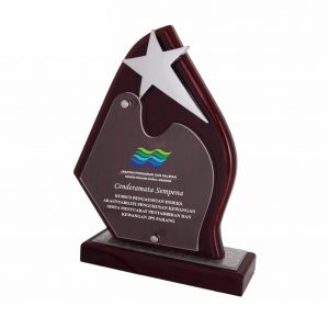 Plaques Star Wooden Plaque WP7125 Star Wooden Plaque WP7125