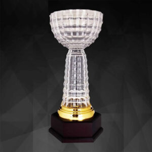 Crystal Cup Trophy CR9197