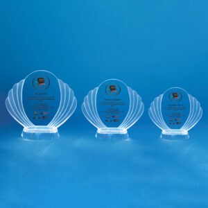 Crystal Plaque CR0099