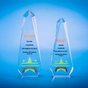 Crystal Trophy CR0114