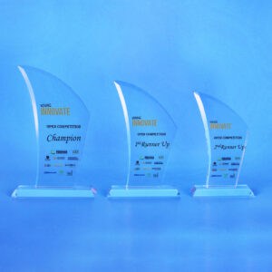 Crystal Plaque CR0176