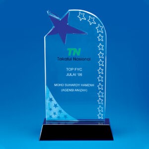 Crystal Plaque CR0207