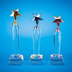 Crystal Trophy CR0213