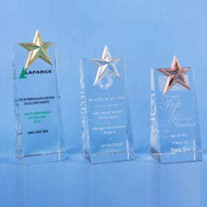 Crystal Trophy CR0221