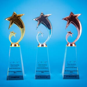 Crystal Trophy CR0224