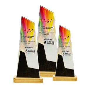 Crystal Trophy CR8354