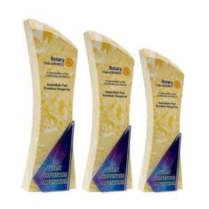 Crystal Trophy CR8361