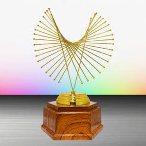 Custom Trophy EXWS6214