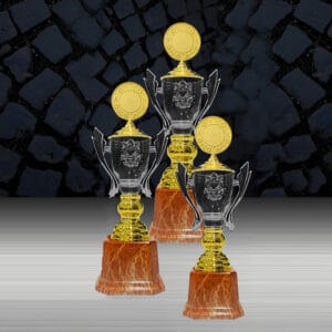 Cup Trophy EXWS6218