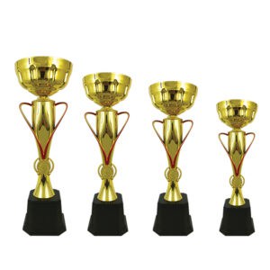 Cup Trophy Golden Cup Trophy ICBAW699G Golden Cup Trophy ICBAW699G