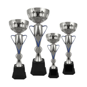 Silver Cup Trophy ICBAW699S